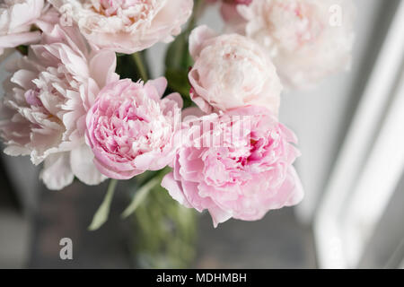 Mignon et jolie pivoine. nombreux pétales en couches. Bouquet de fleurs de pivoines rose pâle fond gris clair. Wallpaper Banque D'Images