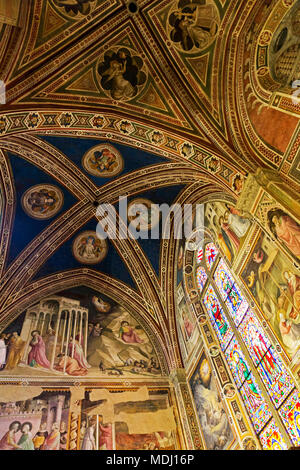 Vitrail et plafond décoratif dans la cathédrale de Florence, Florence, Toscane, Italie Banque D'Images