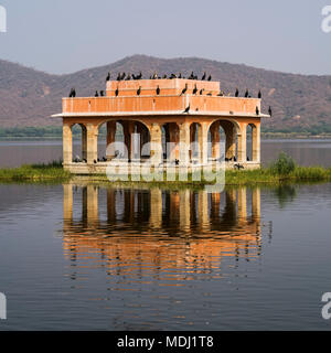 Jal Mahal Palace immergé dans le lac avec sucre homme oiseaux posés sur elle, Jaipur, Rajasthan, Inde Banque D'Images