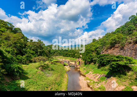 Paysage du pont sur la rivière dans la jungle Banque D'Images