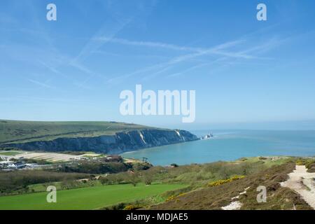 Vue sur les aiguilles de Headon Warren, île de Wight, Royaume-Uni lors d'une journée ensoleillée avec un ciel bleu clair Banque D'Images