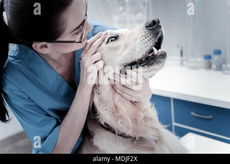 Femme intelligente agréable d'examiner le chien Banque D'Images