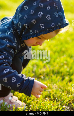 Little baby girl joue heureux dans le parc à l'extérieur au printemps et recueille des marguerites. Banque D'Images