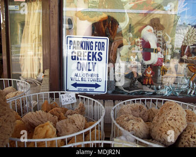 Les éponges de mer à vendre dans un magasin à Tarpon Springs, Florida, USA, 2017 © Katharine Andriotis Banque D'Images