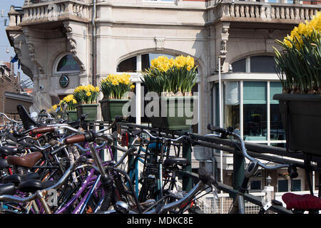 Amsterdam, Pays-Bas - 14 avril 2018 Le festival annuel des fleurs de printemps qui coule dans les rues d'Amsterdam Banque D'Images