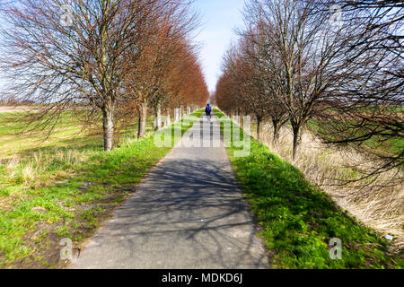 Au petit cyclepath cycliste en Hollande Banque D'Images