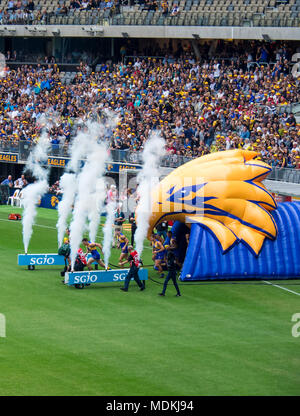 West Coast Eagles équipe fonctionne sur le terrain de jeu du nouveau stade d'Optus, Perth, WA, Australie. Banque D'Images