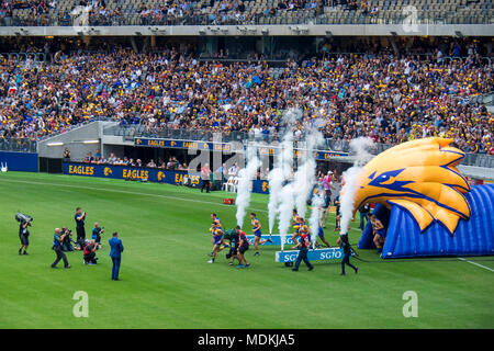 West Coast Eagles équipe fonctionne sur le terrain de jeu du nouveau stade d'Optus, Perth, WA, Australie. Banque D'Images