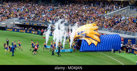 West Coast Eagles équipe fonctionne sur le terrain de jeu du nouveau stade d'Optus, Perth, WA, Australie. Banque D'Images