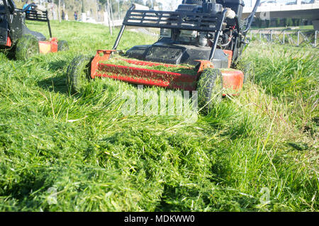 Tas d'herbe verte nouvelle-fauchées avec deux tondeuses derrière. Se concentrer sur la machine Banque D'Images