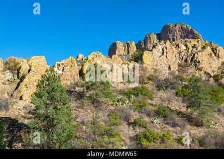 Texas, Big Bend National Park, montagnes Chiso, vue depuis la route du bassin Chiso Banque D'Images