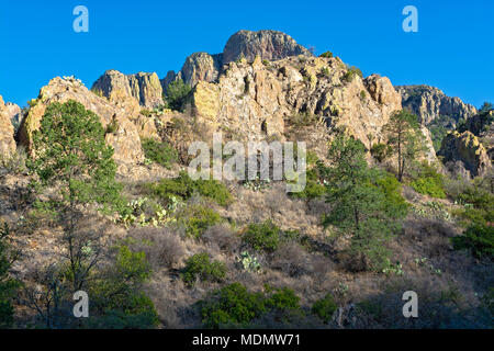 Texas, Big Bend National Park, montagnes Chiso, vue depuis la route du bassin Chiso Banque D'Images