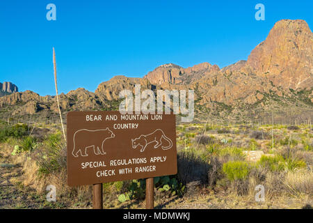 Texas, Big Bend National Park, vue depuis la route du bassin Chiso, ours, mountain lion panneau d'avertissement Banque D'Images