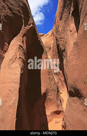 Spooky Gulch slot canyon, à fourche à sec, une succursale de Coyote Gulch, trou dans le Rock Road, Grand Staircase Escalante National Monument, Utah, USA Banque D'Images