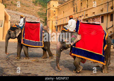 JAIPUR, INDE - CIRCA NOVEMBRE 2017 : homme non identifié rides elephant Banque D'Images