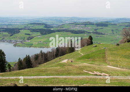 Vue paysage du lac de Lucerne à partir de la Montagne Rigi en Suisse. Un chemin de randonnée, trail Banque D'Images