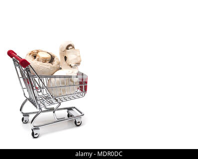 L'achat d'un supermarché de champignons, récolte de champignons champignons de Paris Banque D'Images