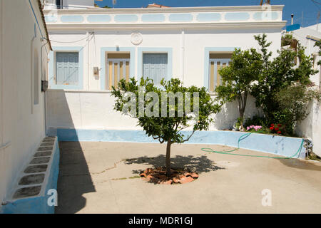 La Grèce, Îles de la mer Égée, l'île de Karpathos, Aperi cour d'une maison traditionnelle avec l'inévitable olivier dans le centre Banque D'Images