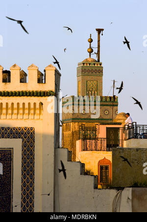 Fes, Maroc ; hirondelles se percher au coucher du soleil autour de la Porte Bab Boujeloud (Bleu) Banque D'Images