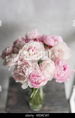 Mignon et jolie pivoine. nombreux pétales en couches. Bouquet de fleurs de pivoines rose pâle fond gris clair. Fond d'écran, photo verticale Banque D'Images