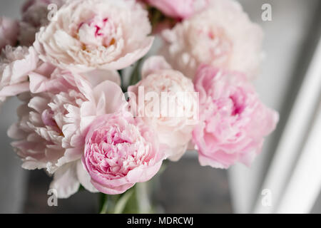 Mignon et jolie pivoine. nombreux pétales en couches. Bouquet de fleurs de pivoines rose pâle fond gris clair. Fond d'écran, photo verticale Banque D'Images