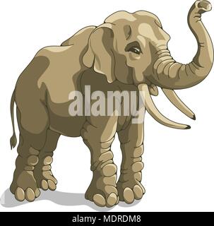 Vector illustration d'elephant isolated on white Illustration de Vecteur