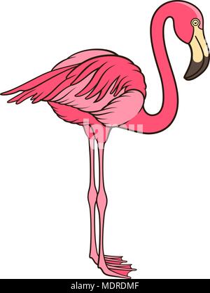 Flamant rose isolé sur blanc. Ce vecteur illustration peut être utilisé comme une impression sur T-shirts ou d'autres utilisations Illustration de Vecteur