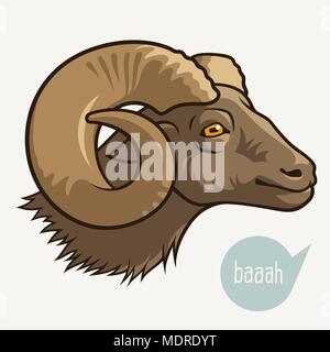 Têtes de moutons ou ram . Ce vecteur illustration peut être utilisé comme une impression sur T-shirts ou d'autres utilisations Illustration de Vecteur