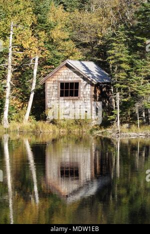 Une simple cabane isolée de bardeaux en bois caché dans la forêt de bouleaux Banque D'Images