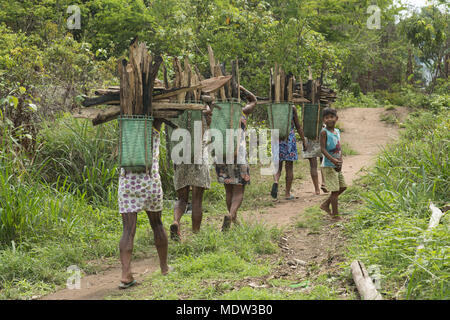 Village indien Kayapo Moikarako transporter le bois pour la cuisson en balaio appuyé sur le front Banque D'Images