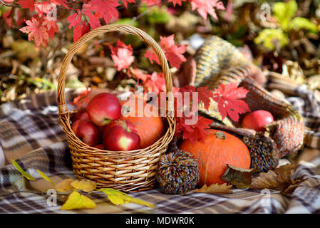 Les légumes d'automne panier de paille en close up Banque D'Images