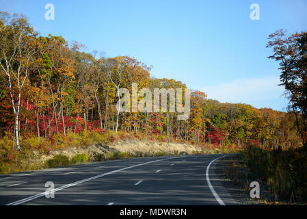 Route en forêt d'automne avec l'érable rouge et jaune Banque D'Images