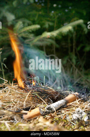 elfbar nachfüll pod läuft aus Une cigarette brûle avec de la fumée qui en sort main image 1