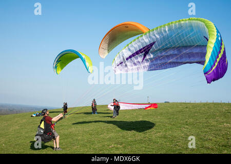 En attente de décoller, membres de Thames Valley Club de parapente sur Combe Gibbet près de Hungerford attendent les conditions idéales pour lancer Crédit : James Wadham / Alamy Live News Banque D'Images