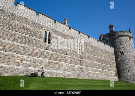 Windsor, Royaume-Uni. 20 avril, 2018. Un jardinier qui tond la pelouse en face du château de Windsor au cours de la réunion des chefs de gouvernement du Commonwealth Retraite des dirigeants. Banque D'Images