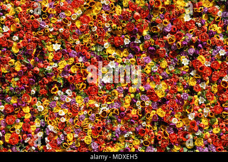 Potsdam, Allemagne. 21 avril 2018. Des centaines de tulipes dans un mur de fleurs. Le 21e Festival de la tulipe est organisé dans le quartier hollandais de Potsdam. Photo : Ralf Hirschberger/dpa dpa : Crédit photo alliance/Alamy Live News Banque D'Images
