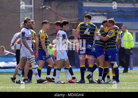 Cardiff, Royaume-Uni. 21 avril 2018. Joueurs de Cardiff Blues (bleu/jaune) la fête au coup de sifflet final. L'incident enregistrées Challenge Cup semi finale match, Cardiff Blues v Pau au BT Cardiff Arms Park de Cardiff le samedi 21 avril 2018. Cette image ne peut être utilisé qu'à des fins rédactionnelles. Editorial uniquement. pic par Carl Robertson/Andrew Orchard la photographie de sport/Alamy live news Banque D'Images