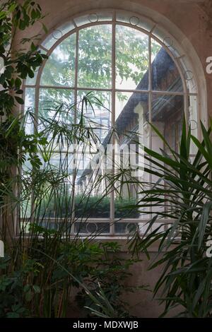 Paris, rue Auguste Comte, lycée Montaigne, jardin d'hiver, Banque D'Images