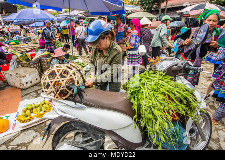 Femme Hmong son chargement à moto le marché du dimanche ; Bac Ha, Lao Cai, Vietnam Banque D'Images
