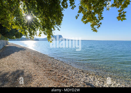 Plage avec soleil qui brille à travers les branches d'arbres au lac Gardo (Lago di Garda) en été à Garda en Vénétie, Italie Banque D'Images