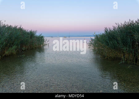 Vue sur le lac de Garde (Lago di Garda) à travers roseaux à l'aube à Bardolino en Vénétie, Italie Banque D'Images