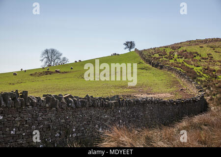 Mur en pierre sèche dans la vallée de Talybont dans le Centre de Brecon Beacons Banque D'Images