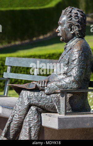 Albert Einstein statue assise sur un banc de parc à la station balnéaire de Haan/Le Coq, Flandre occidentale, Belgique Banque D'Images