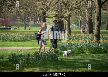 20 avril 2018. Hot Spring météo à Green Park avec les touristes se détendre au soleil, London, UK Banque D'Images