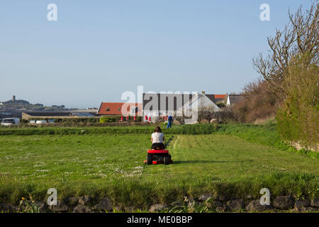 Femme de tondeuse motorisée sur l'herbe sur grand terrain. Banque D'Images