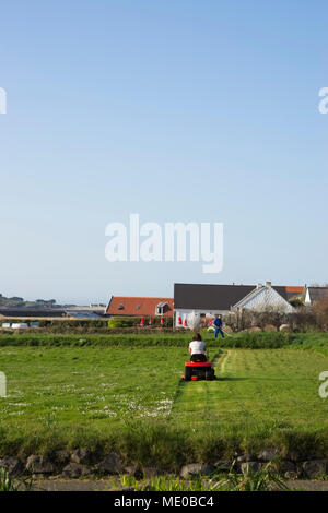 Femme de tondeuse motorisée sur l'herbe sur grand terrain. Banque D'Images