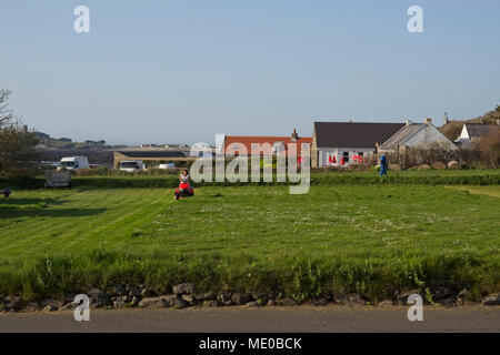 Femme de tondeuse motorisée sur l'herbe sur grand terrain. Banque D'Images