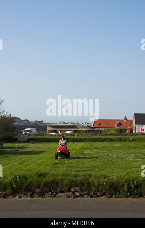 Femme de tondeuse motorisée sur l'herbe sur grand terrain. Banque D'Images