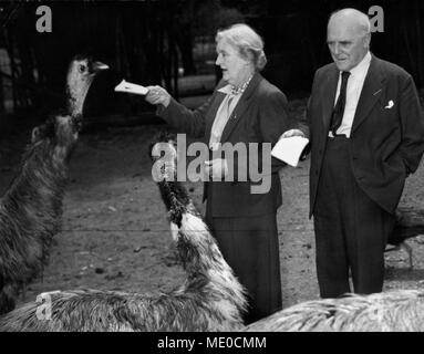 Dame Sybil Thorndike et Sir Lewis Casson nourrir l'émeu en. Banque D'Images