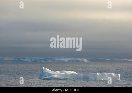 Sunlit icebergs flottant dans le son à l'Antarctique la péninsule Antarctique, l'Antarctique Banque D'Images